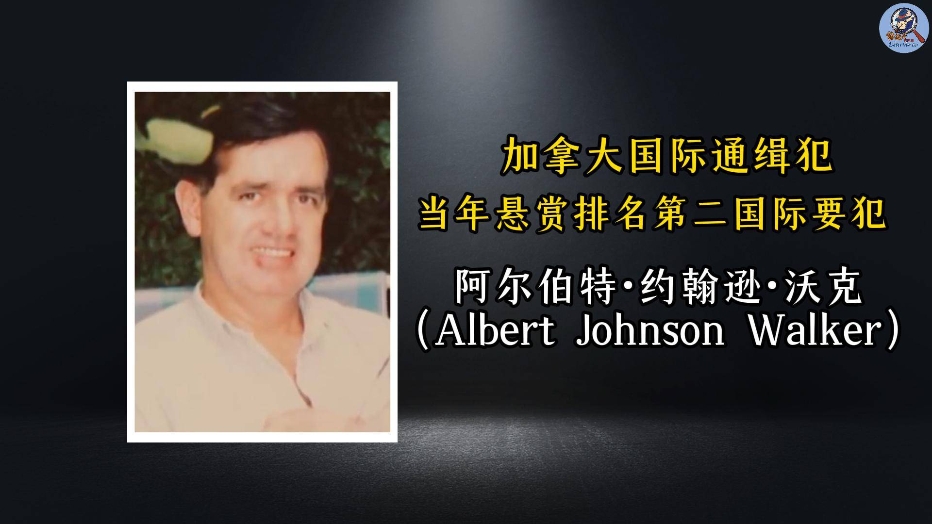 承认若非巧合加成毫无破案可能英国最接近完美的犯罪连警方都(图18)